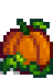 Pumpkin at harvest